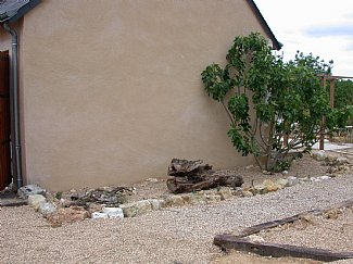 sarthe-farm-house-french-rentals-fig-and-herb-garden-2129386.jpg